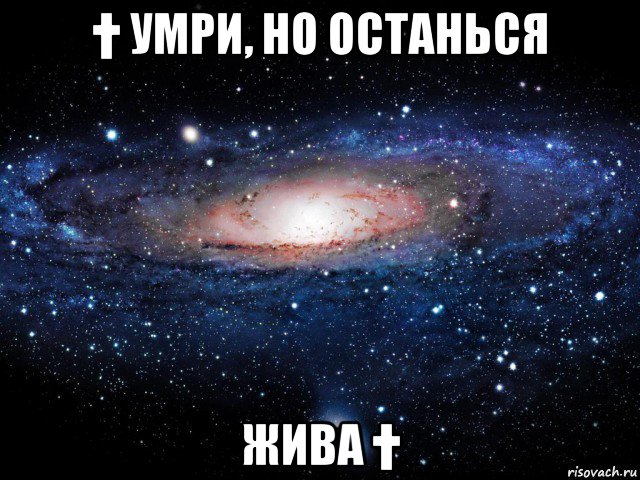 † умри, но останься жива †, Мем Вселенная