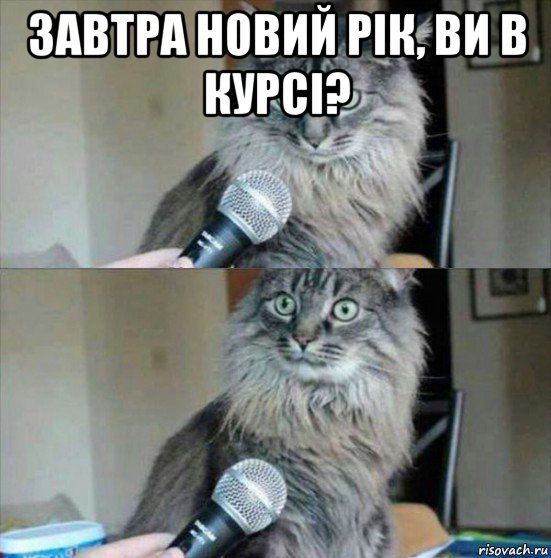 завтра новий рік, ви в курсі? 