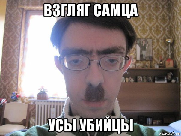 взгляг самца усы убийцы
