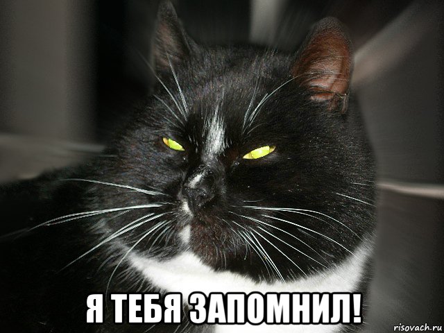  я тебя запомнил!, Мем Я тебя запомнил