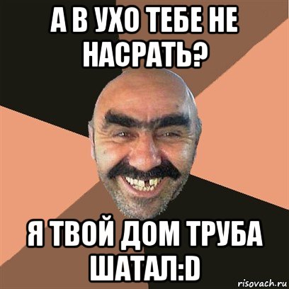 а в ухо тебе не насрать? я твой дом труба шатал:d, Мем Я твой дом труба шатал