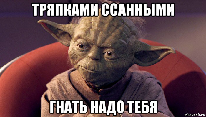 тряпками ссанными гнать надо тебя, Мем йода