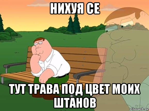 нихуя се тут трава под цвет моих штанов, Мем Задумчивый Гриффин