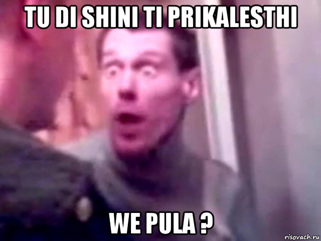 tu di shini ti prikalesthi we pula ?, Мем Запили