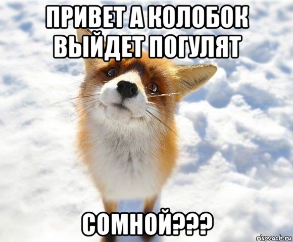 привет а колобок выйдет погулят сомной???