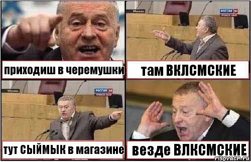 приходиш в черемушки там ВКЛСМСКИЕ тут СЫЙМЫК в магазине везде ВЛКСМСКИЕ, Комикс жиреновский