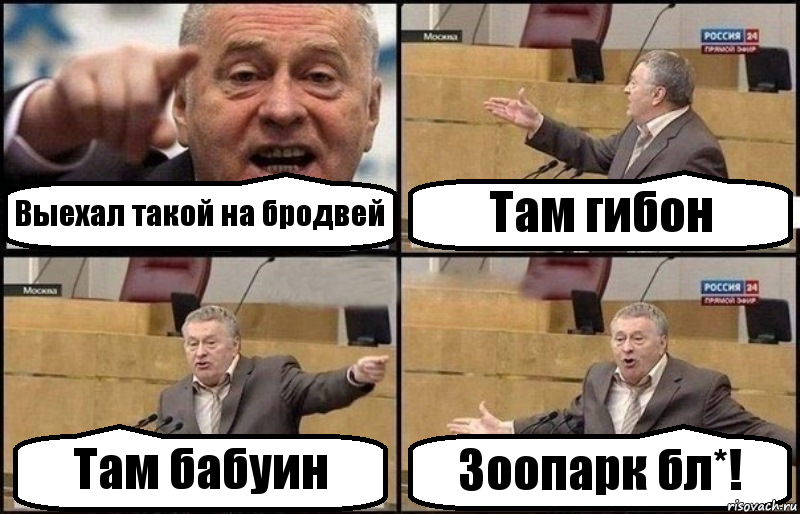 Выехал такой на бродвей Там гибон Там бабуин Зоопарк бл*!, Комикс Жириновский