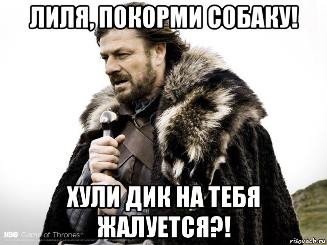 лиля, покорми собаку! хули дик на тебя жалуется?!, Мем Зима близко крепитесь (Нед Старк)