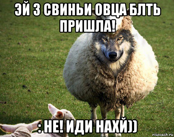 эй 3 свиньи овца блть пришла! : не! иди нахй)), Мем Злая Овца