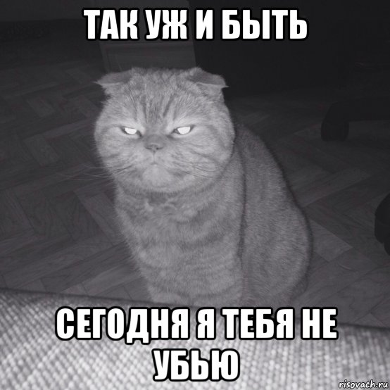 так уж и быть сегодня я тебя не убью, Мем Злой кот