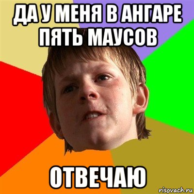 да у меня в ангаре пять маусов отвечаю, Мем Злой школьник