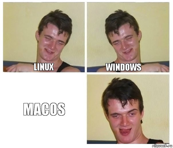 Linux Windows MacOS, Комикс Не хочу (10 guy)