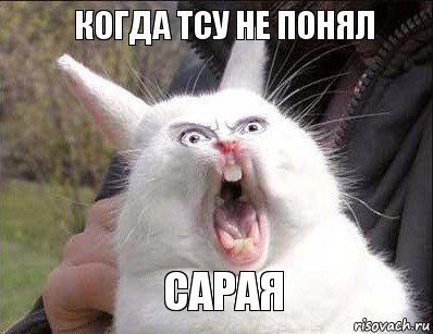 Когда Тсу не понял Сарая