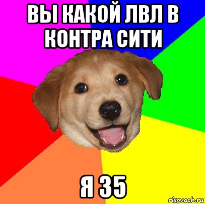 вы какой лвл в контра сити я 35, Мем Advice Dog