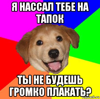 я нассал тебе на тапок ты не будешь громко плакать?, Мем Advice Dog