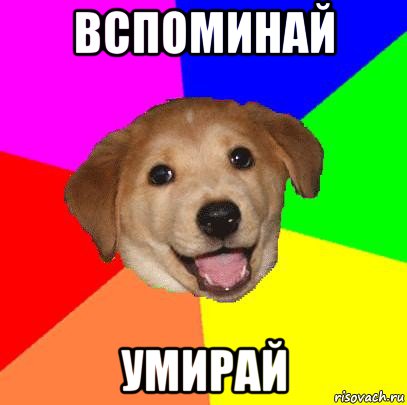 вспоминай умирай, Мем Advice Dog