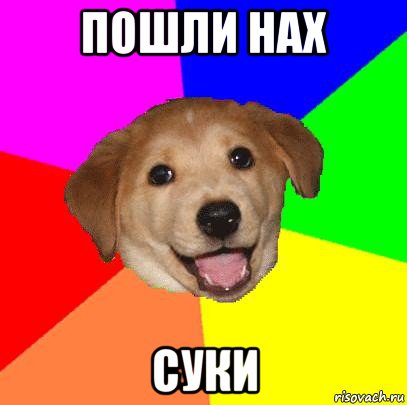 пошли нах суки, Мем Advice Dog