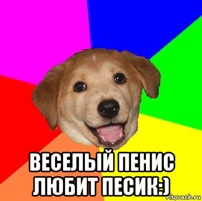  веселый пенис любит песик:), Мем Advice Dog