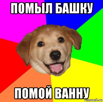 помыл башку помой ванну, Мем Advice Dog