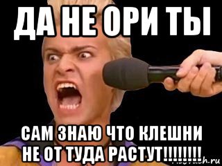 да не ори ты сам знаю что клешни не от туда растут!!!!!!!!, Мем Адвокат