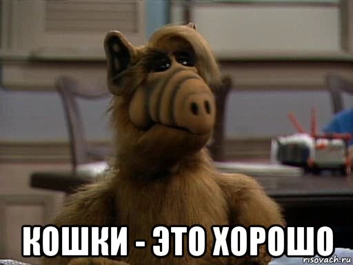  кошки - это хорошо, Мем Альф