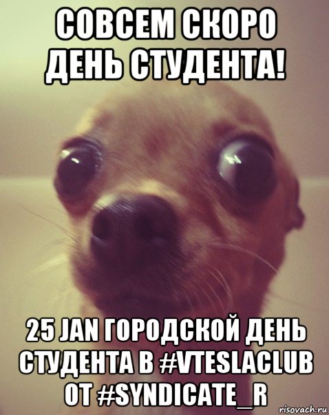 совсем скоро день студента! 25 jan городской день студента в #vteslaclub от #syndicate_r, Мем  Аргументный аргумент