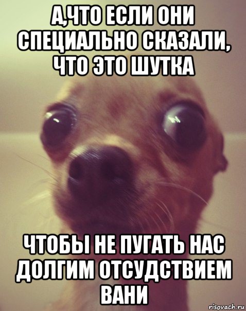 а,что если они специально сказали, что это шутка чтобы не пугать нас долгим отсудствием вани, Мем  Аргументный аргумент