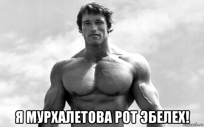  я мурхалетова рот эбелех!, Мем Арни