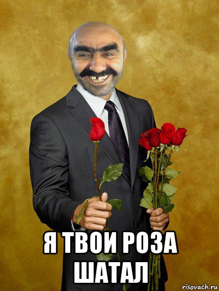  я твои роза шатал, Мем Ашотик влюбленный
