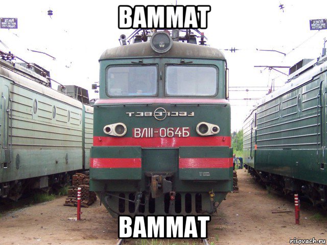 ваммат ваммат