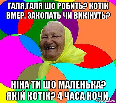 галя,галя шо робить? котік вмер. закопать чи викінуть? ніна ти шо маленька? якій котік? 4 часа ночи.