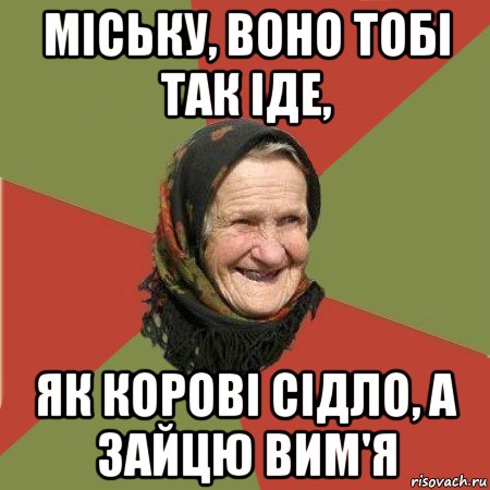 міську, воно тобі так іде, як корові сідло, а зайцю вим'я