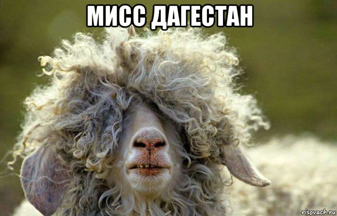 мисс дагестан 