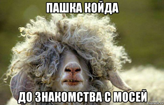 пашка койда до знакомства с мосей