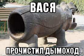 вася прочистил дымоход