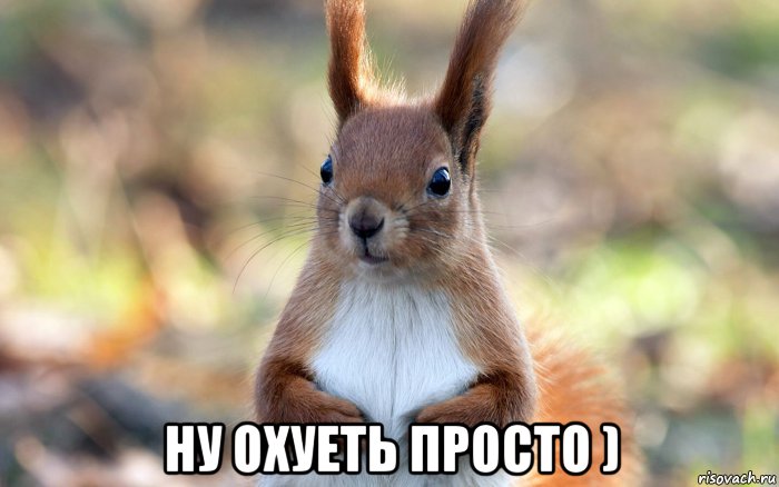  ну охуеть просто )