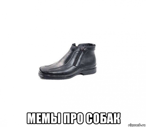  мемы про собак