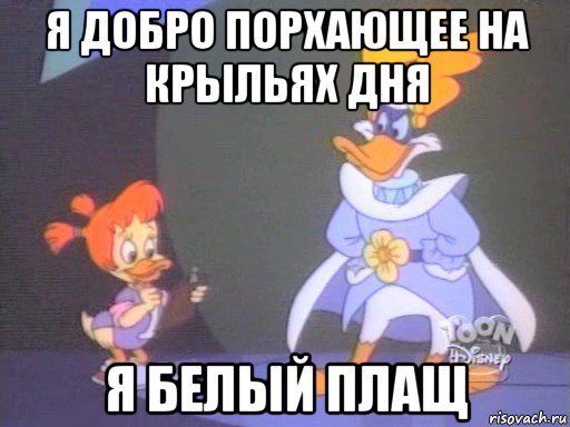 я добро порхающее на крыльях дня я белый плащ, Мем БП