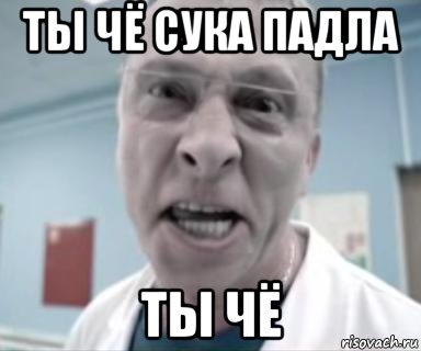 ты чё сука падла ты чё, Мем быков