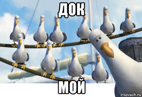 док мой