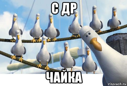 с др чайка