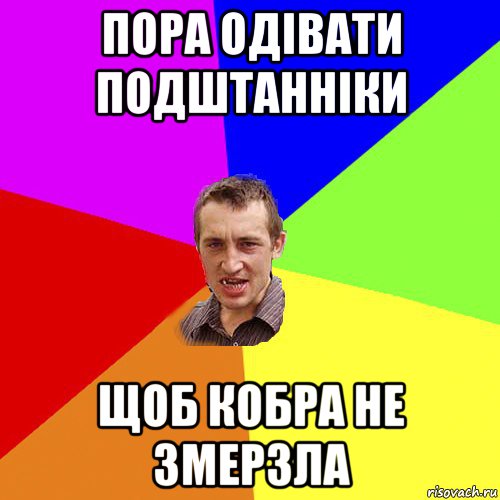 пора одівати подштанніки щоб кобра не змерзла, Мем Чоткий паца