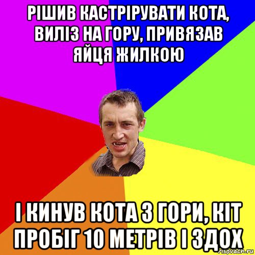 рішив кастрірувати кота, виліз на гору, привязав яйця жилкою і кинув кота з гори, кіт пробіг 10 метрів і здох, Мем Чоткий паца