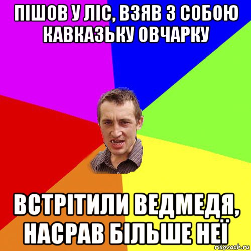 пішов у ліс, взяв з собою кавказьку овчарку встрітили ведмедя, насрав більше неї, Мем Чоткий паца