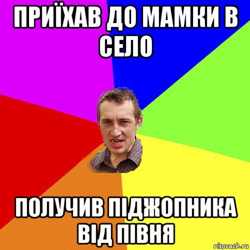 приїхав до мамки в село получив піджопника від півня, Мем Чоткий паца