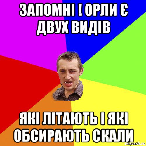 запомні ! орли є двух видів які літають і які обсирають скали, Мем Чоткий паца