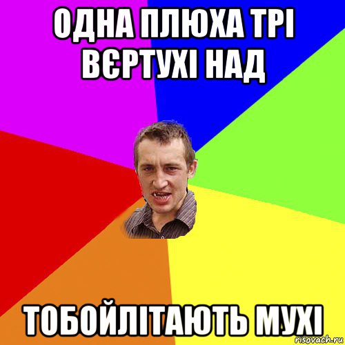 одна плюха трі вєртухі над тобойлітають мухі, Мем Чоткий паца