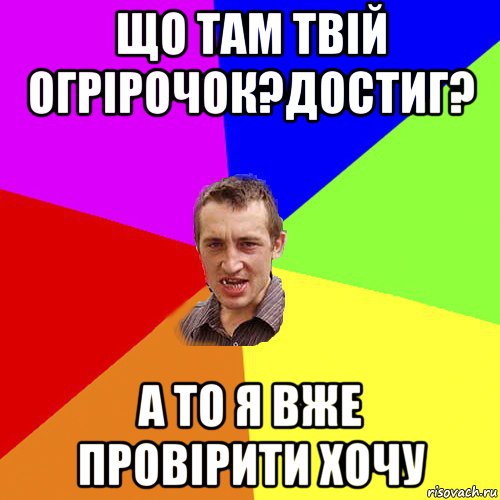 що там твій огрірочок?достиг? а то я вже провірити хочу, Мем Чоткий паца