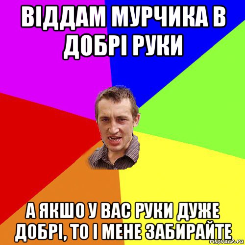 віддам мурчика в добрі руки а якшо у вас руки дуже добрі, то і мене забирайте, Мем Чоткий паца