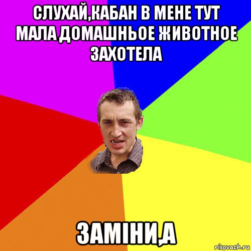 слухай,кабан в мене тут мала домашньое животное захотела заміни,а, Мем Чоткий паца